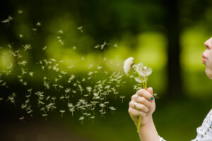 Allergy and Hayfever